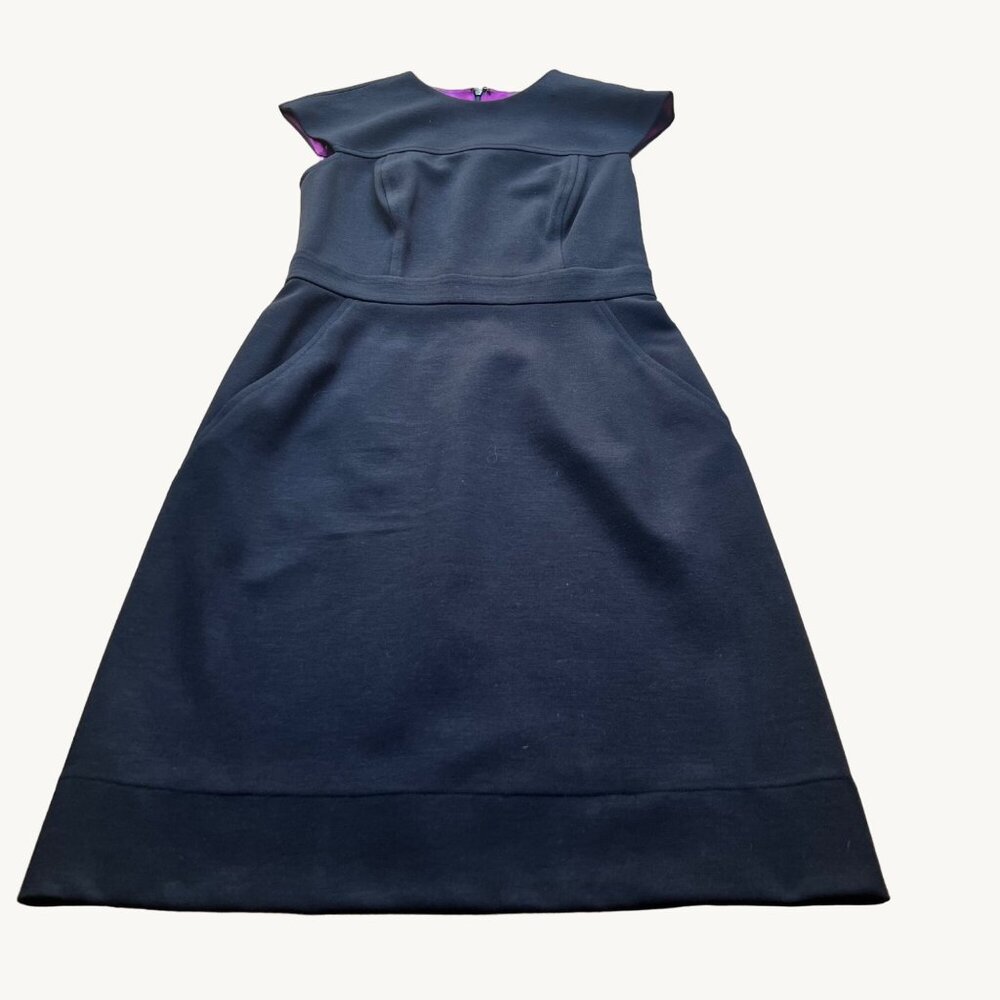 Shoshanna Navy Blue Fit-and-Flare Dress with Pink Lining